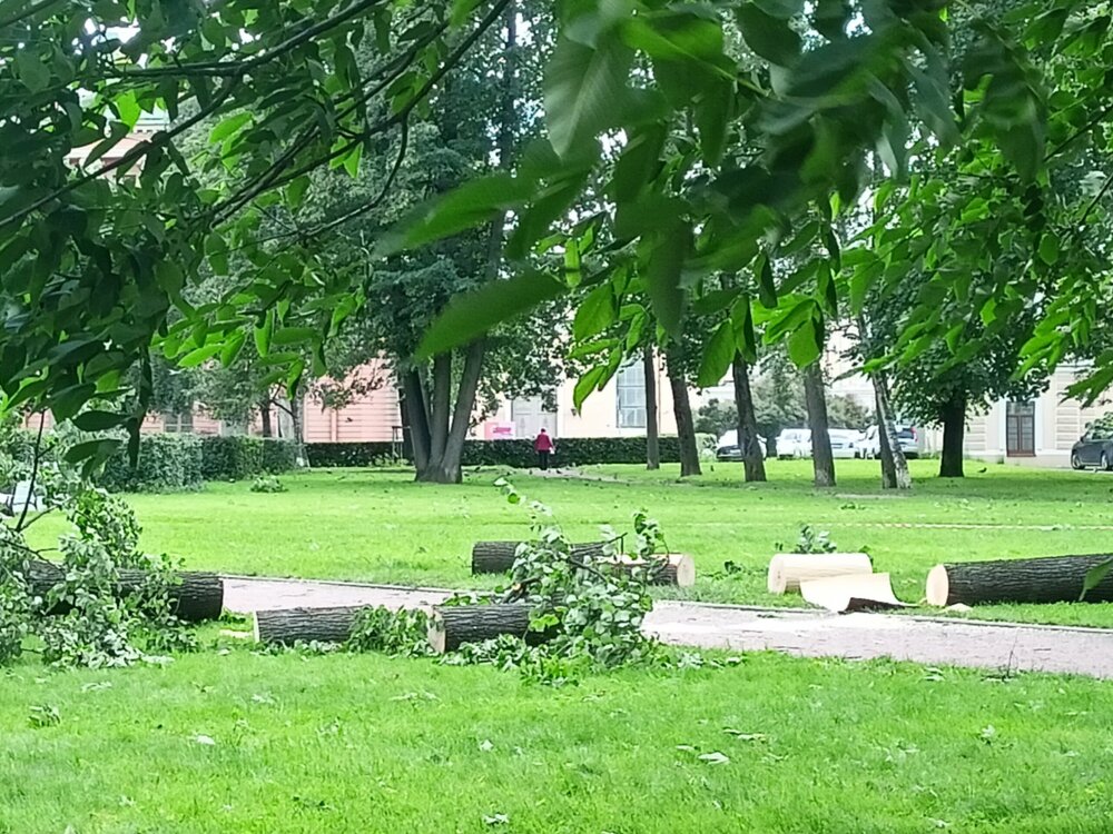 IMG20250704135211.jpg
