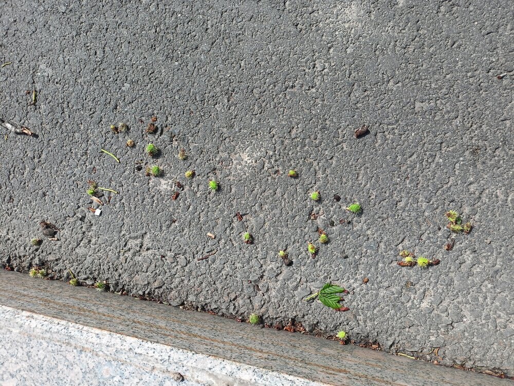 IMG20250704140119.jpg