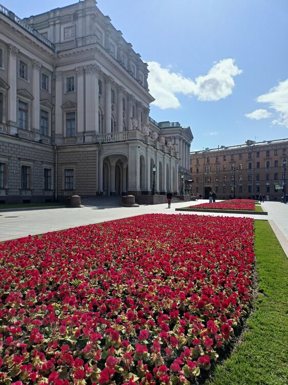 IMG20250704155343.jpg