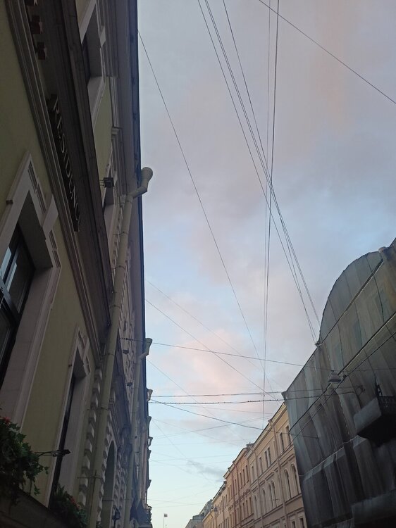 IMG20250704220824.jpg