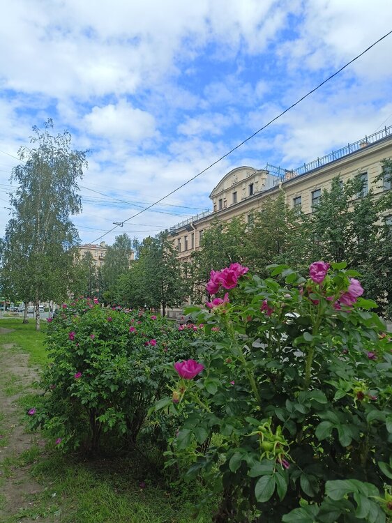 IMG20250705120946.jpg