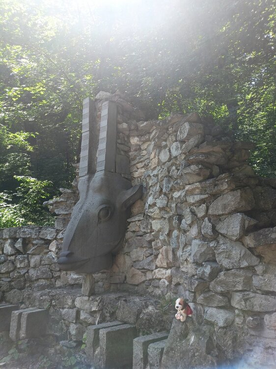 IMG20250717130104.jpg