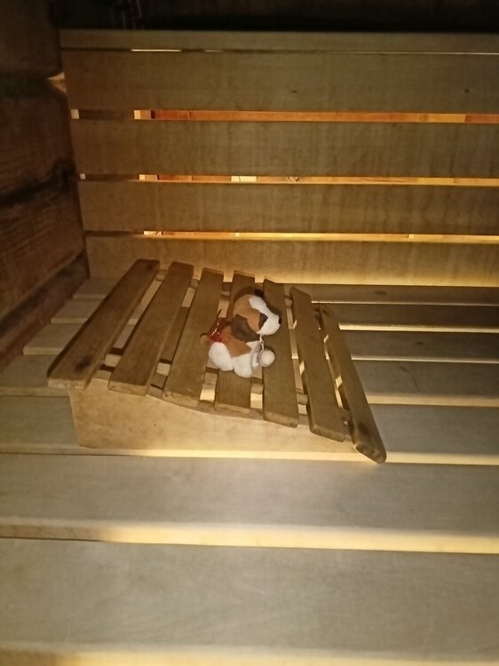 IMG20250717201241.jpg