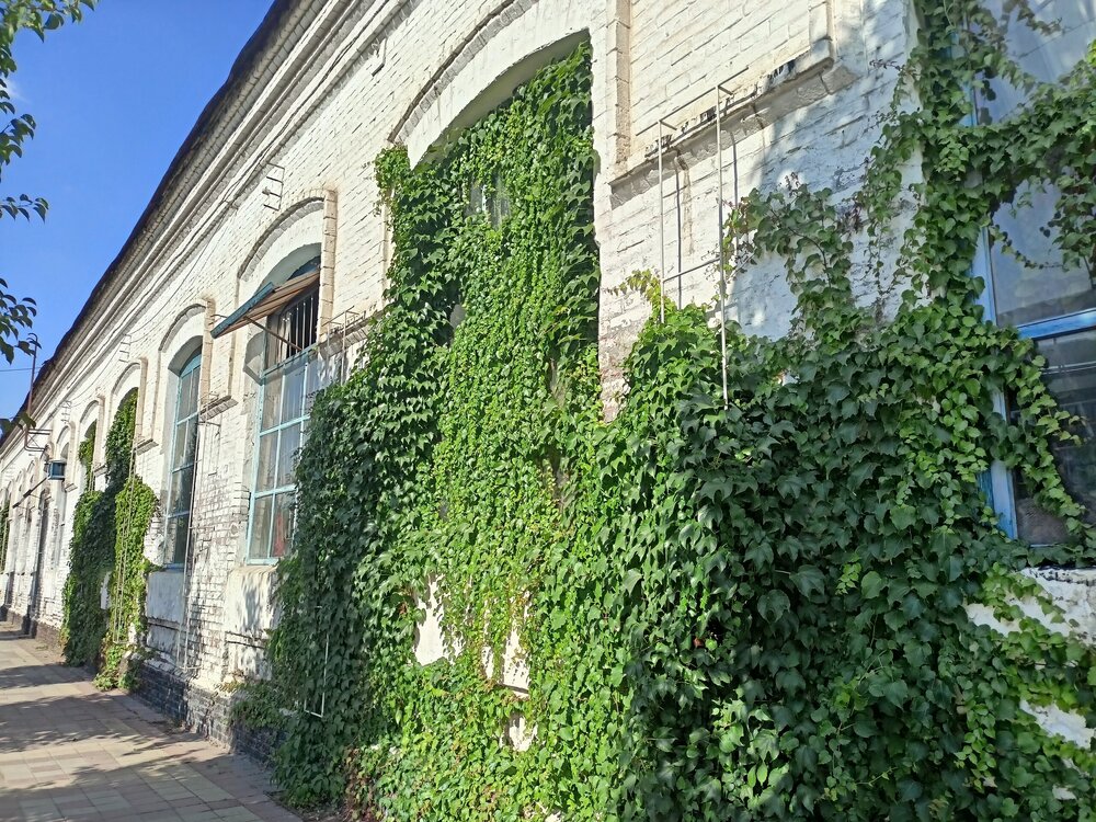 IMG20250718163246.jpg
