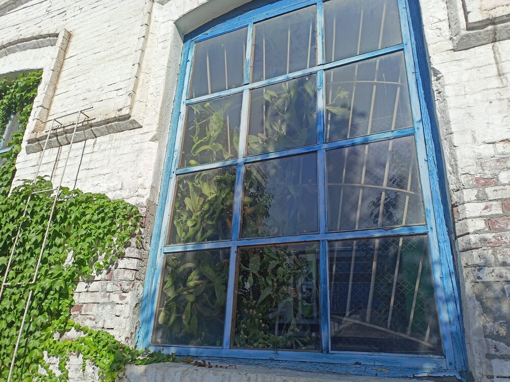 IMG20250718163259.jpg
