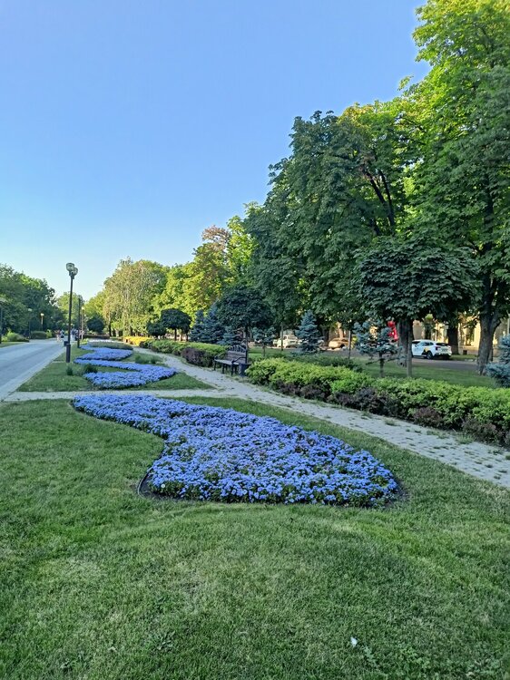 IMG20250718180106.jpg