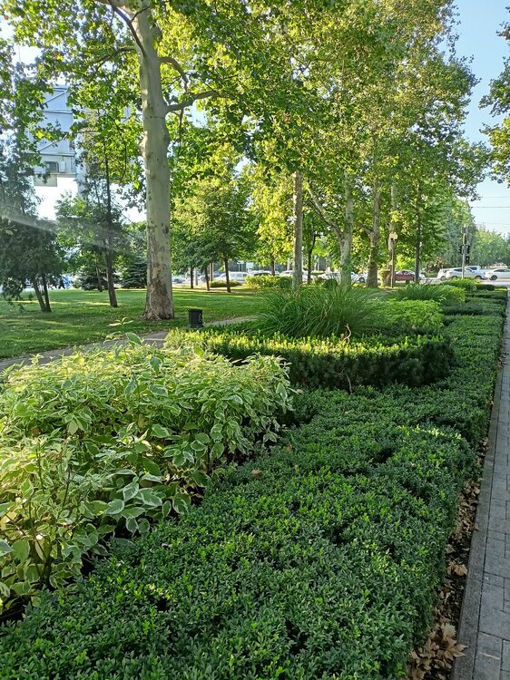 IMG20250718182353.jpg