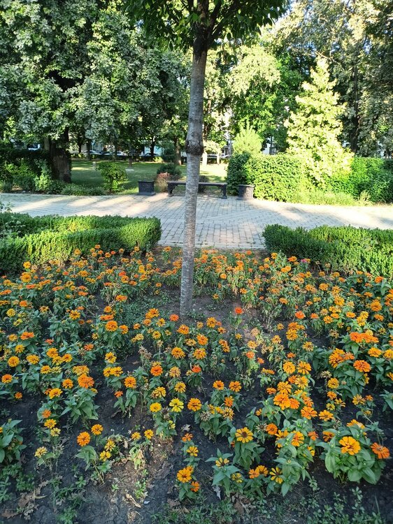 IMG20250718182645.jpg