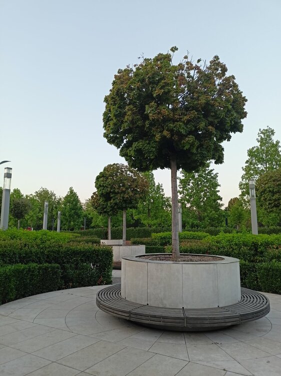 IMG20250718195221.jpg