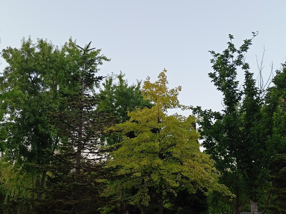 IMG20250718195452.jpg