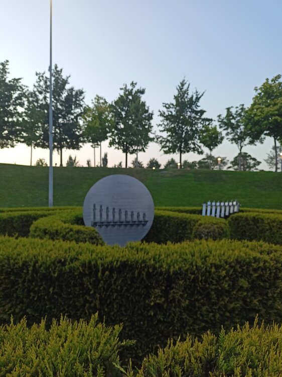 IMG20250718201036.jpg