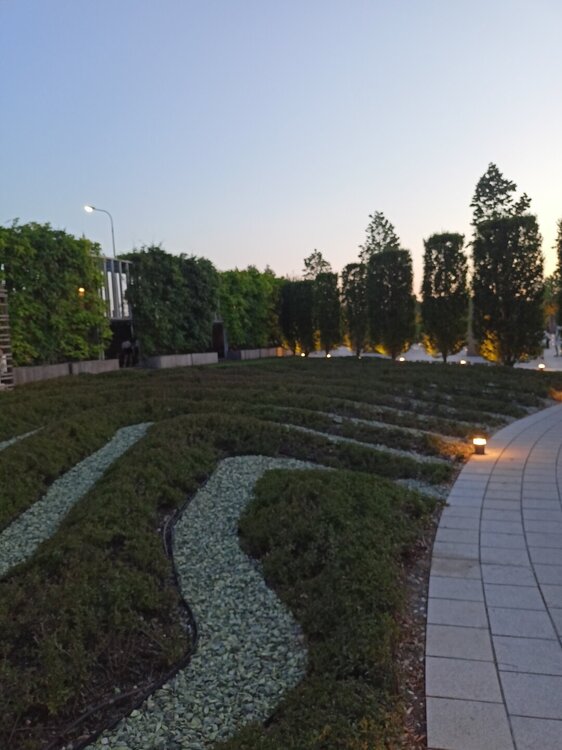 IMG20250718202030.jpg