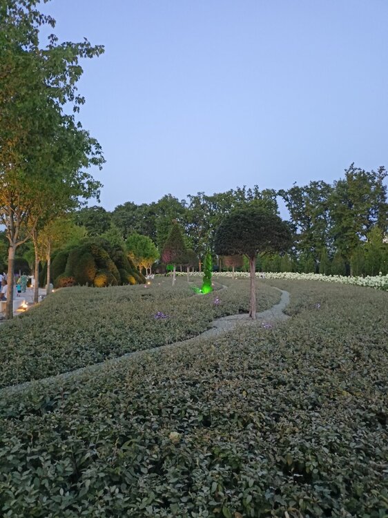 IMG20250718202118.jpg