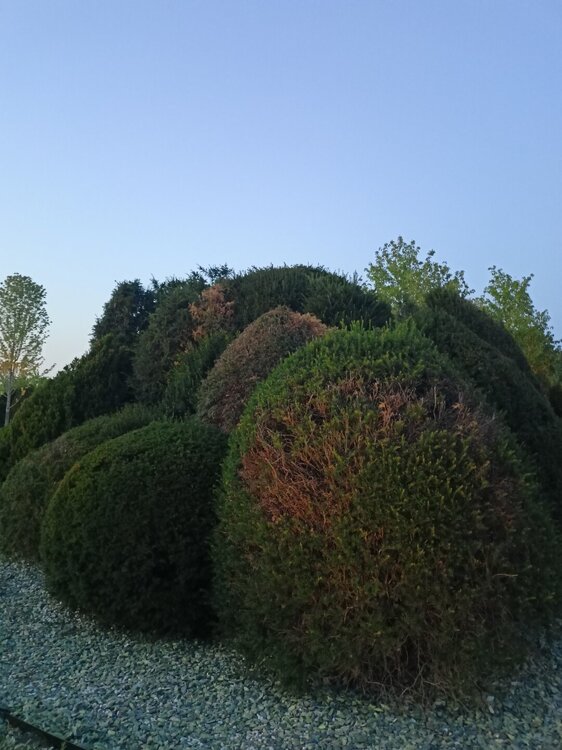 IMG20250718202214.jpg