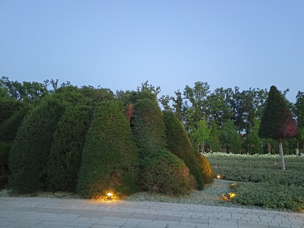 IMG20250718202223.jpg