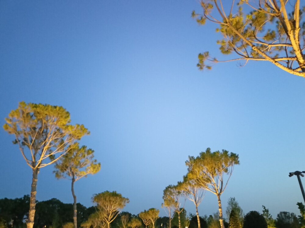 IMG20250718203643.jpg