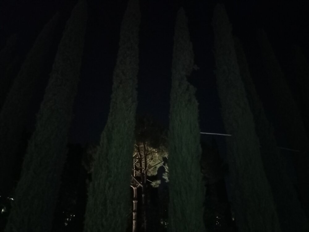 IMG20250718215551.jpg