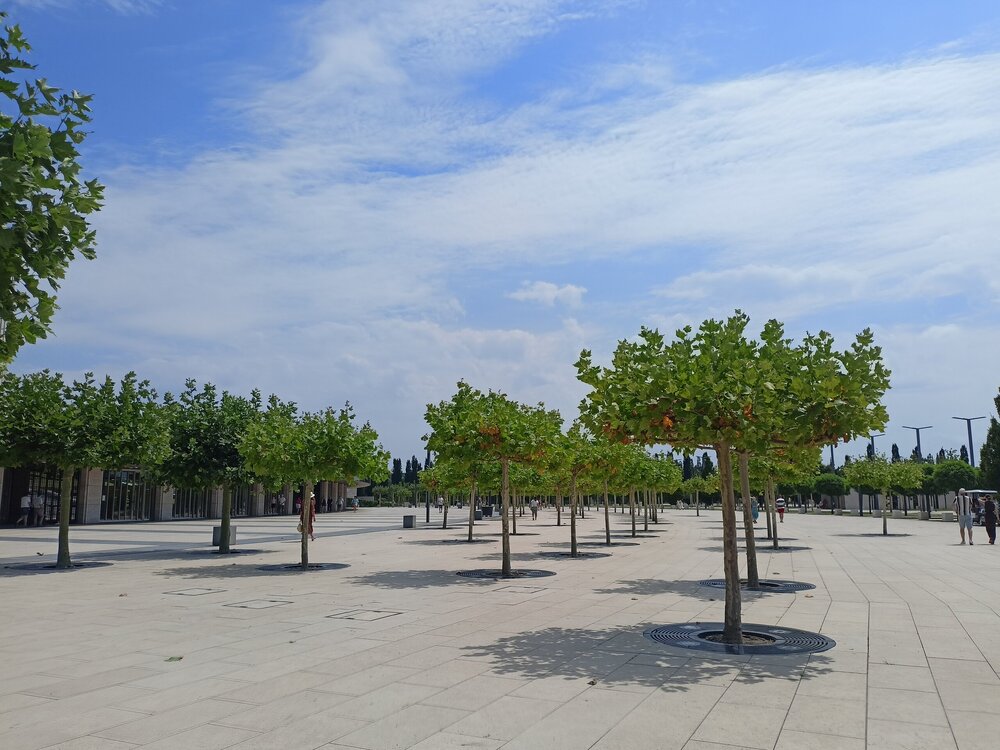 IMG20250719112855.jpg