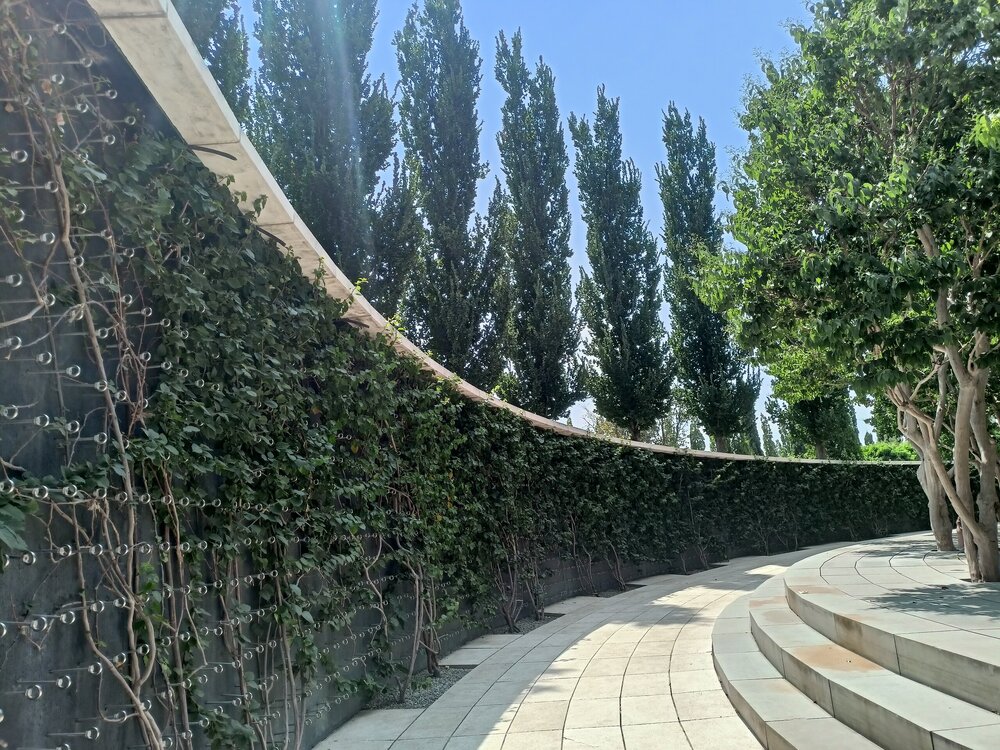 IMG20250719113411.jpg