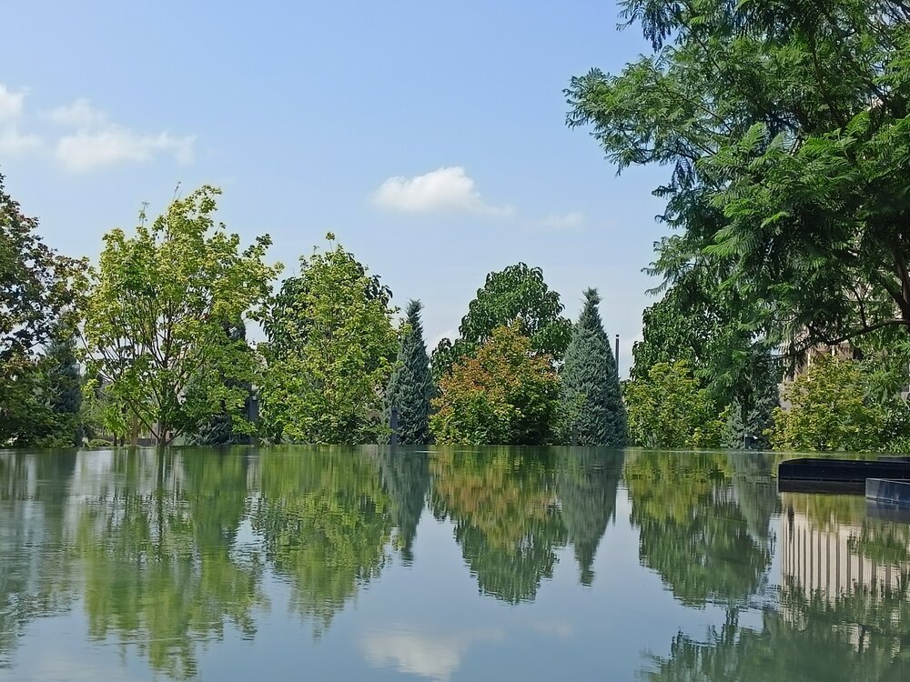 IMG20250719113645.jpg