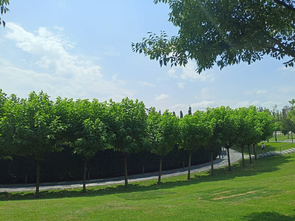 IMG20250719113817.jpg