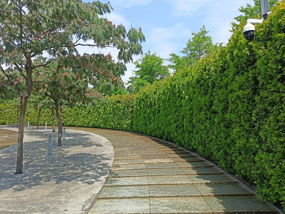 IMG20250719114122.jpg
