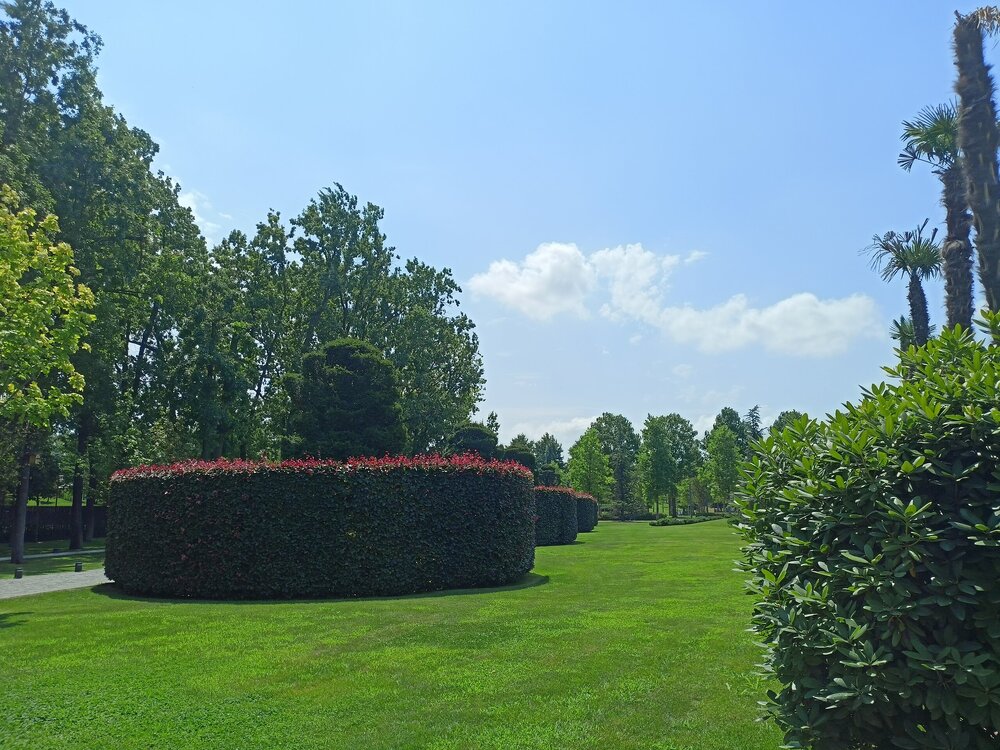 IMG20250719114230.jpg
