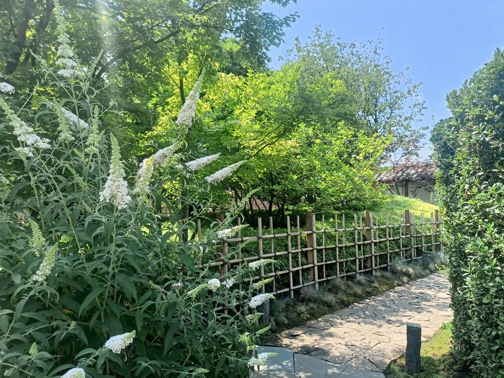 IMG20250719121443.jpg