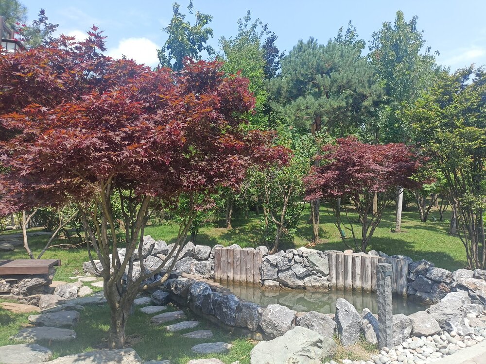 IMG20250719121547.jpg
