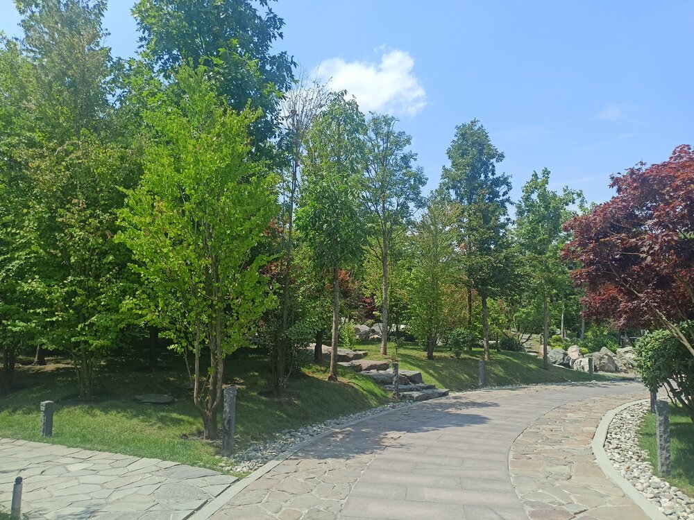 IMG20250719121551.jpg