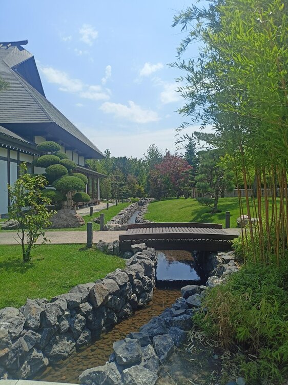 IMG20250719121600.jpg