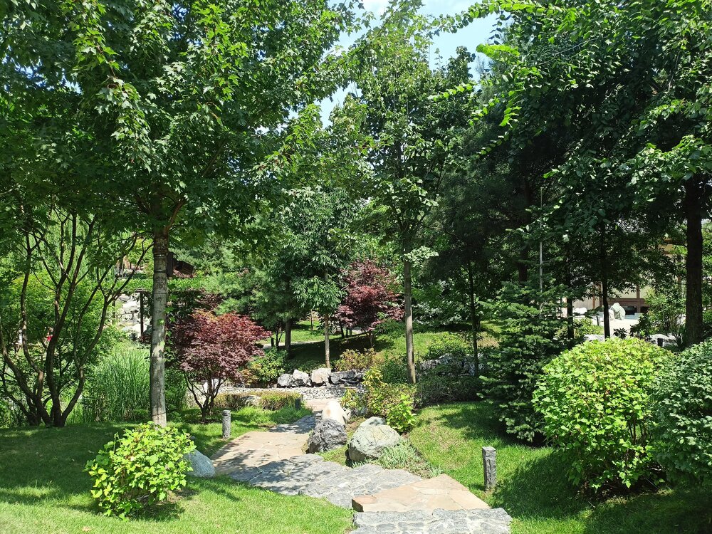 IMG20250719122438.jpg