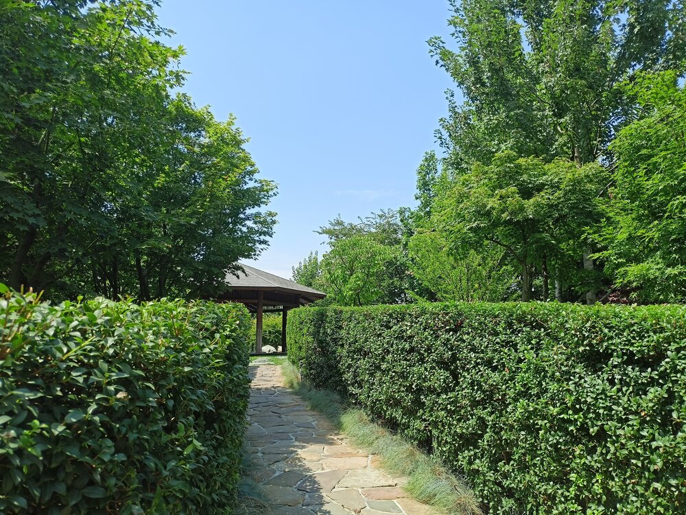 IMG20250719122444.jpg