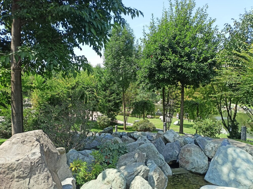 IMG20250719122557.jpg