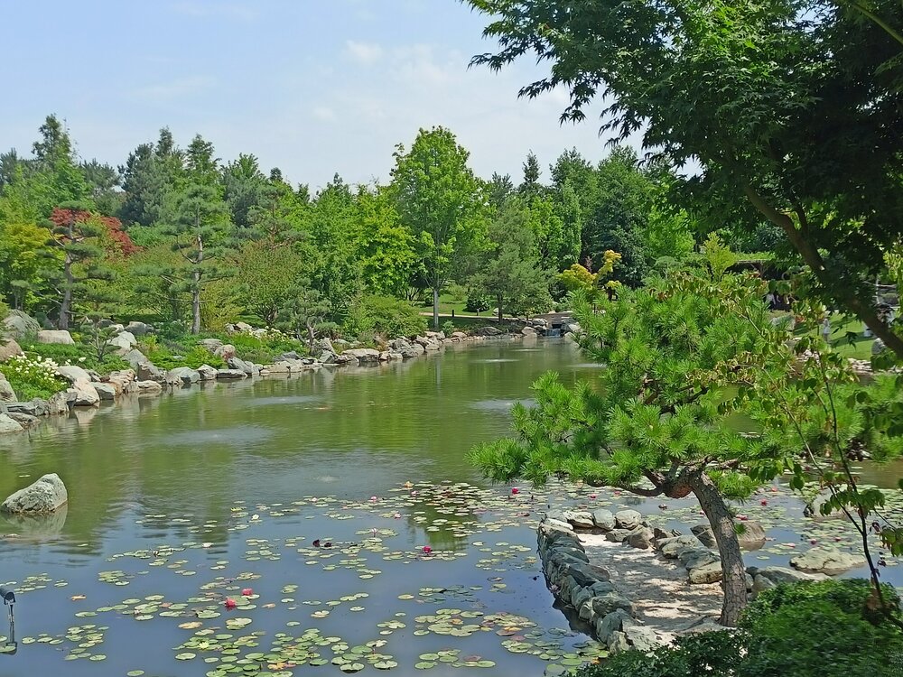 IMG20250719123216.jpg