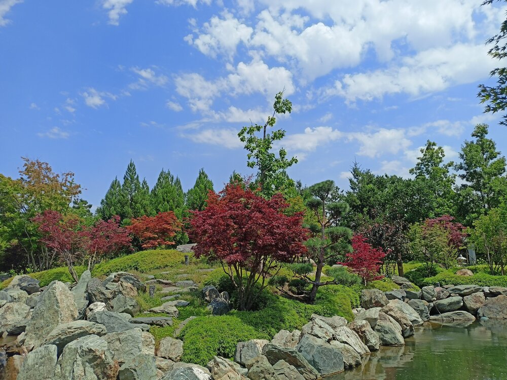 IMG20250719123659.jpg