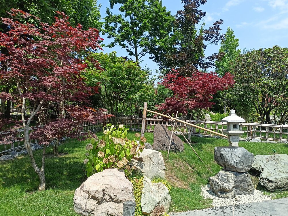 IMG20250719123757.jpg