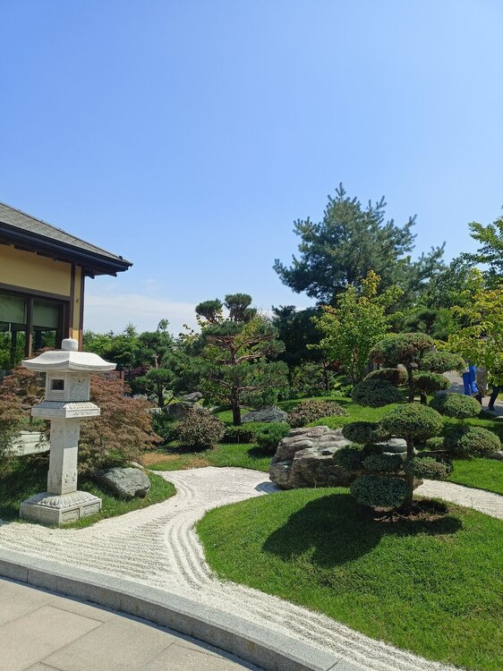 IMG20250719140828.jpg