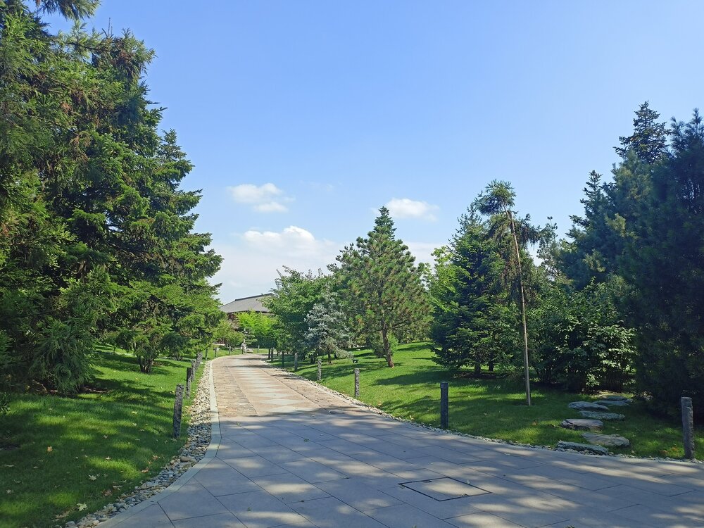IMG20250719141003.jpg