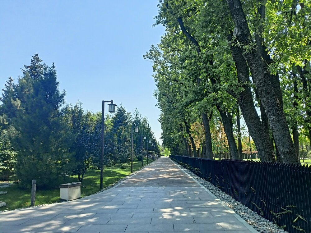 IMG20250719141006.jpg