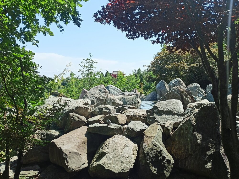 IMG20250719141338.jpg