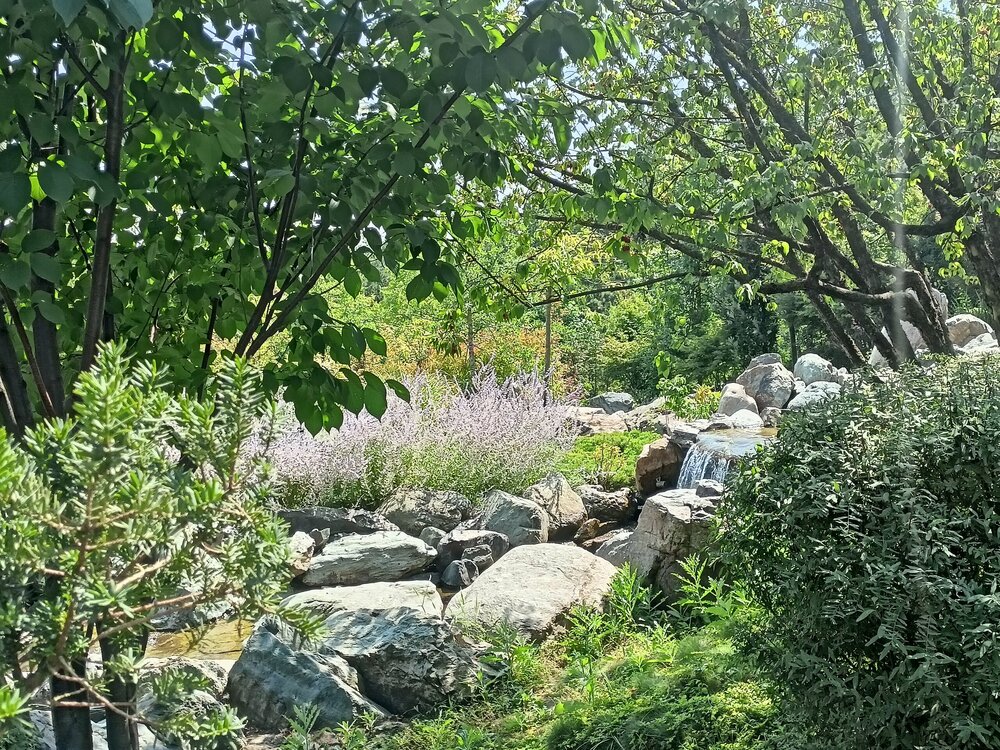 IMG20250719141404.jpg