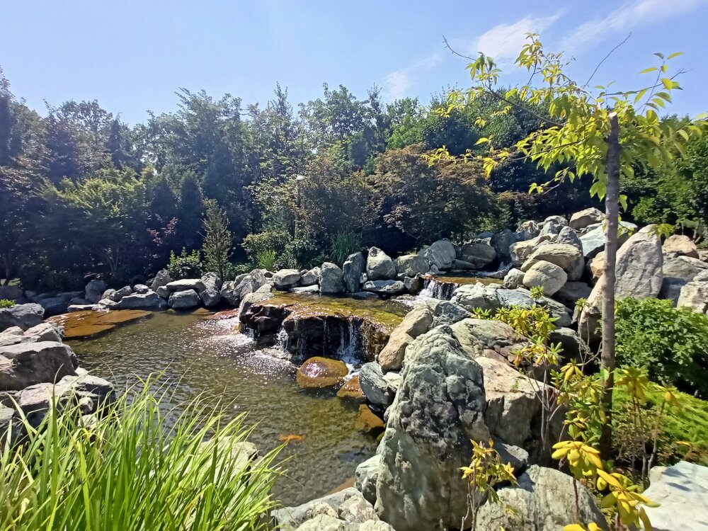 IMG20250719141608.jpg