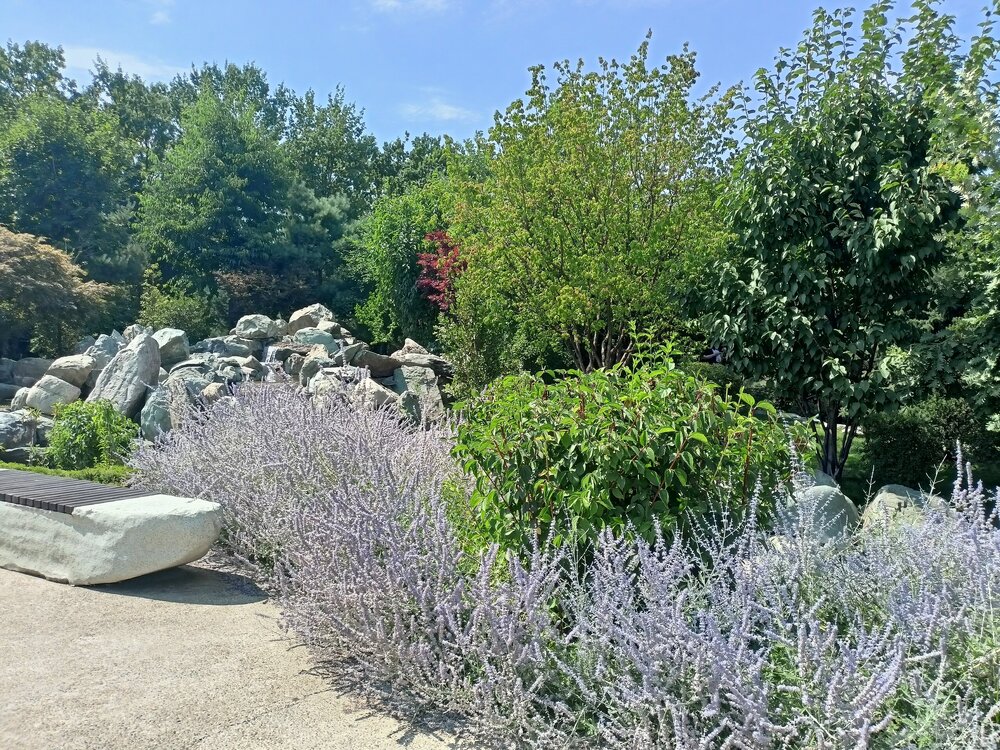 IMG20250719141758.jpg