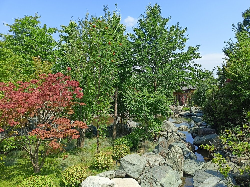 IMG20250719142030.jpg