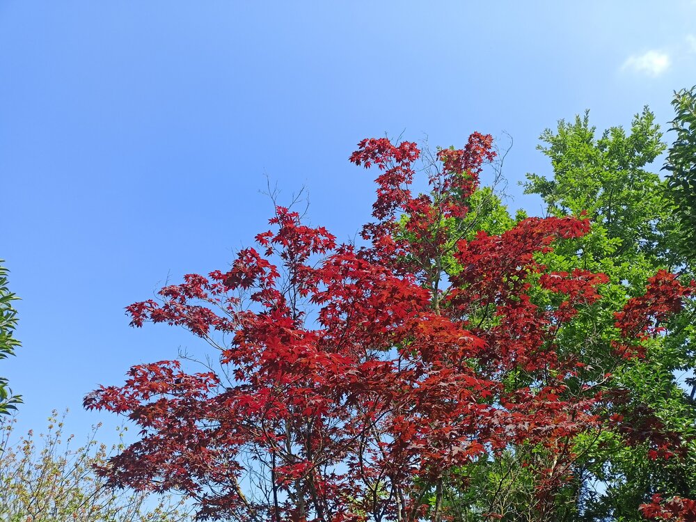 IMG20250719142241.jpg
