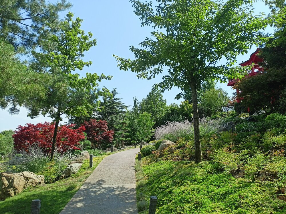 IMG20250719143647.jpg