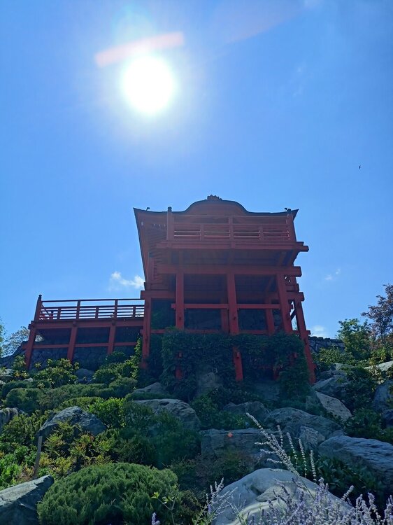 IMG20250719143720.jpg