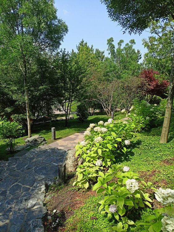 IMG20250719144008.jpg