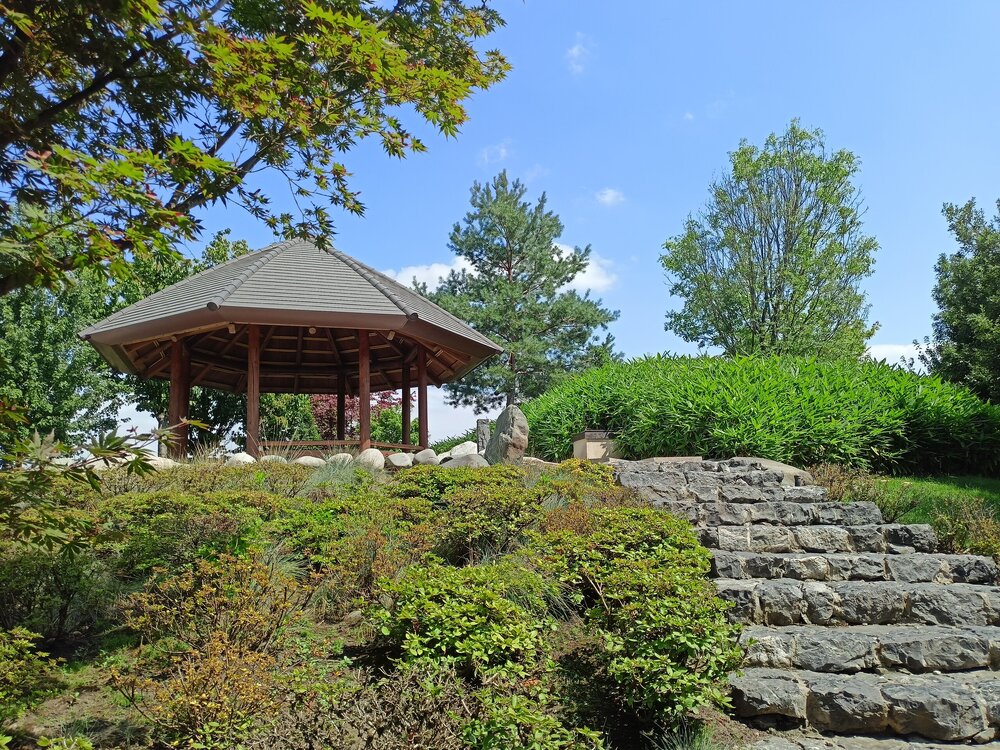 IMG20250719144016.jpg